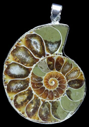 Fossil Ammonite Pendant - Million Years Old #89842